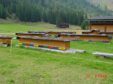 Apiario itinerante Almrosentracht Unterstalleralm