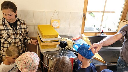 Breve guida alla cera d'api